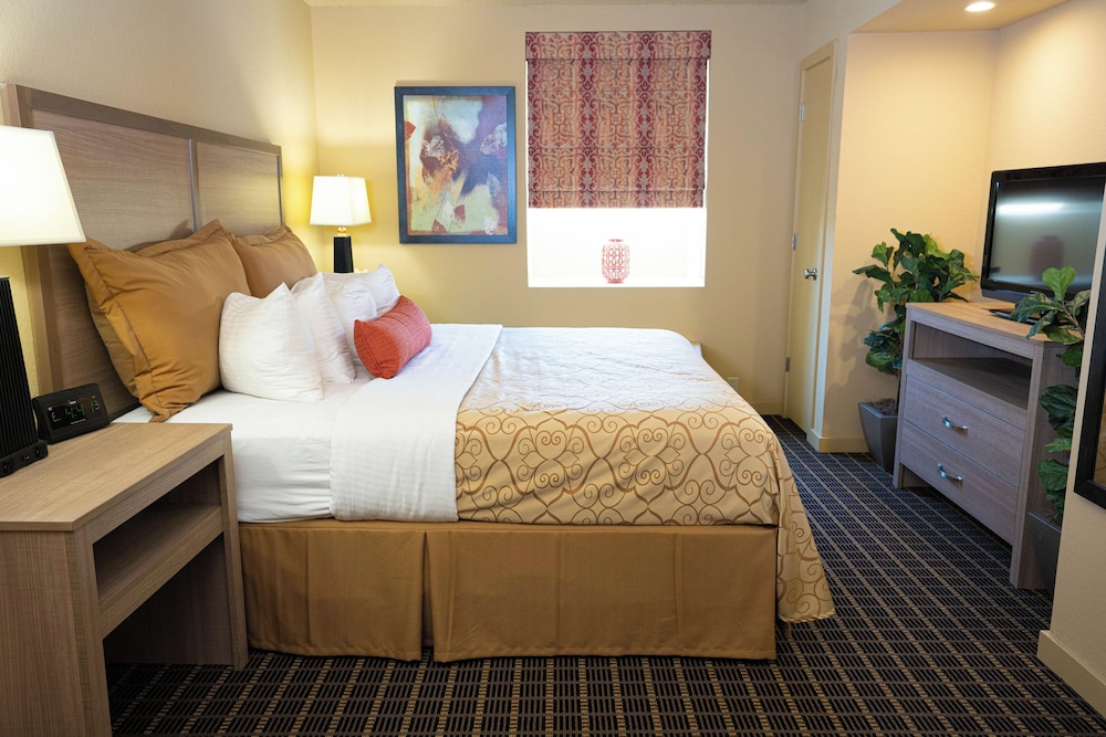 Family Suite, 2 Bedrooms, Kitchen photo 2
