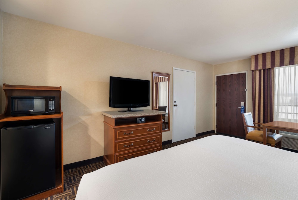 Deluxe Room, 1 King Bed, Non Smoking, Refrigerator & Microwave - Photo 2