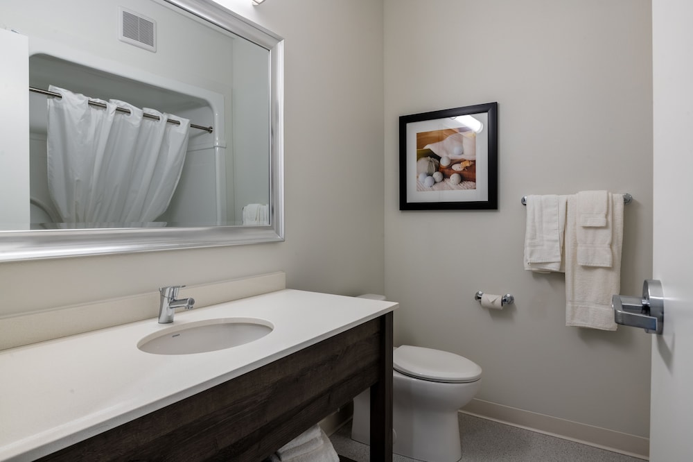 Room, 1 King Bed, Accessible photo 3