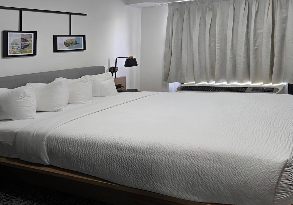 Standard Room, 1 King Bed, Non Smoking