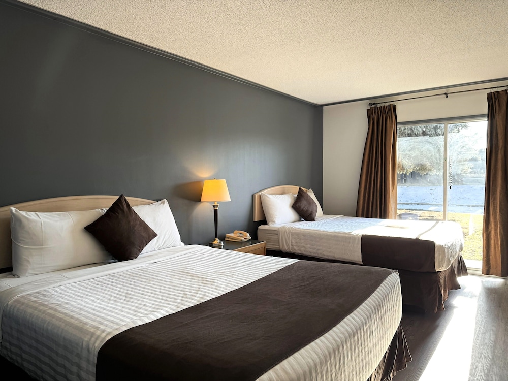Pet-Friendly: 1 Queen Bed - Photo 1