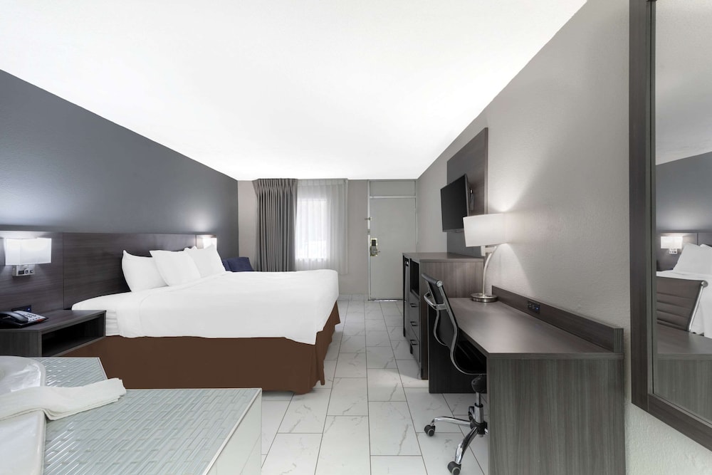 Suite, 1 King Bed, Smoking photo 1
