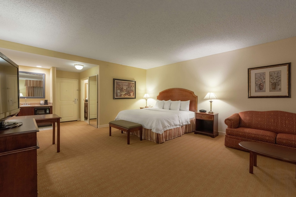 Suite, 1 King Bed, Non Smoking photo 1