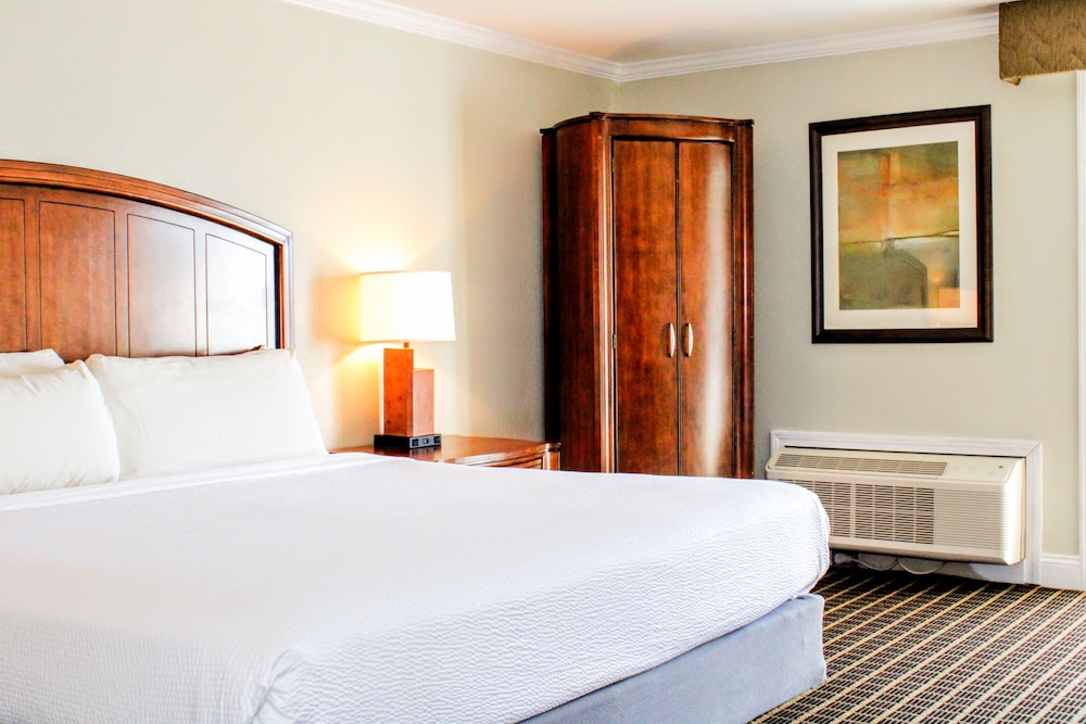 1 King Bed, Courtyard View photo 1