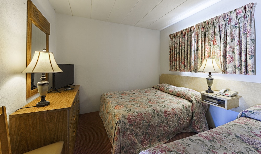 Basic Suite photo 1