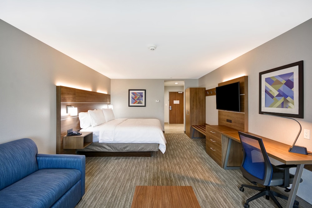 Suite, 1 King Bed, Accessible (Communication, Transfer Shower) - Photo 6