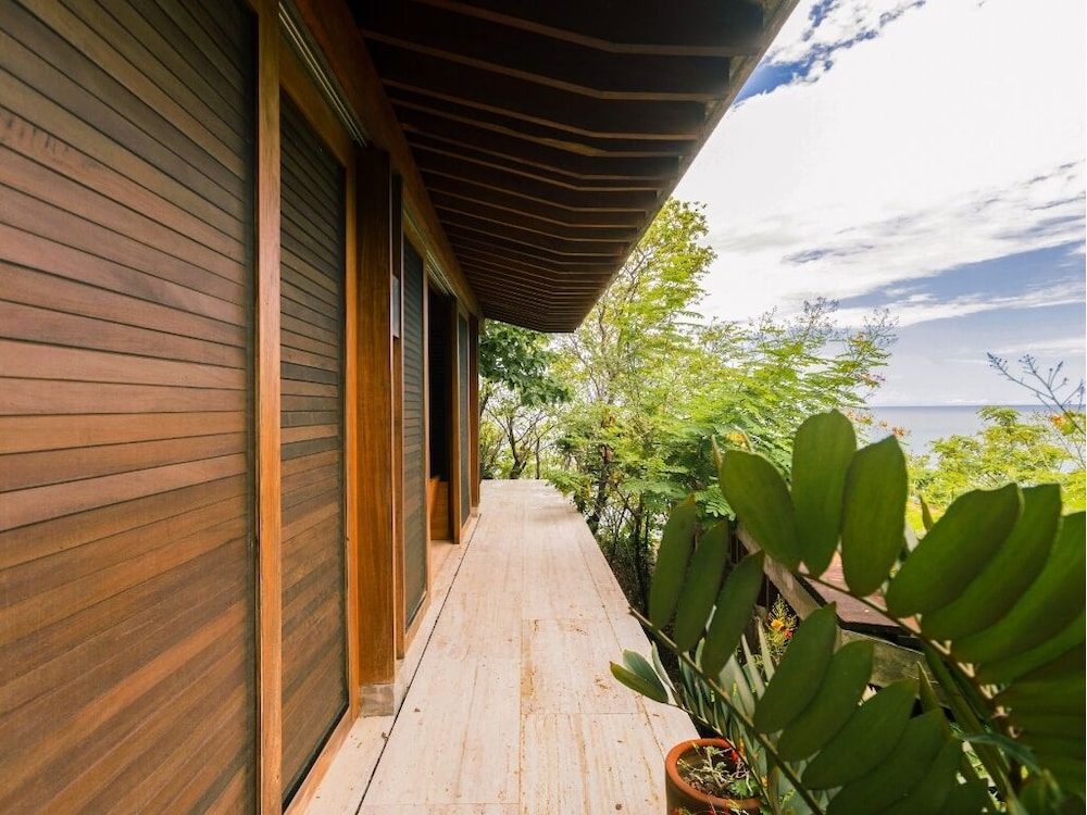 Studio Suite, 1 King Bed, Terrace, Garden View