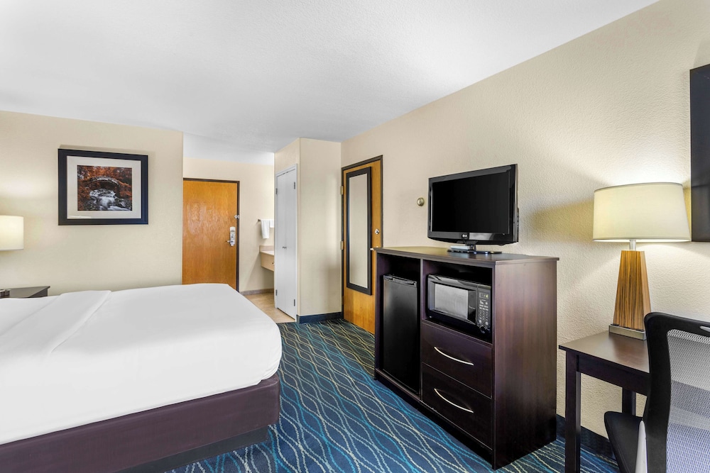 Standard Room, 1 King Bed, Non Smoking, Refrigerator & Microwave (with Sofabed) - Photo 2