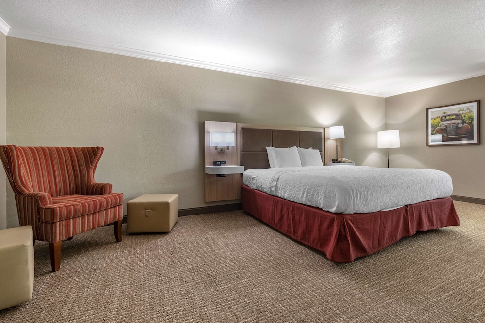 Room, 1 King Bed, Non Smoking - Photo 2