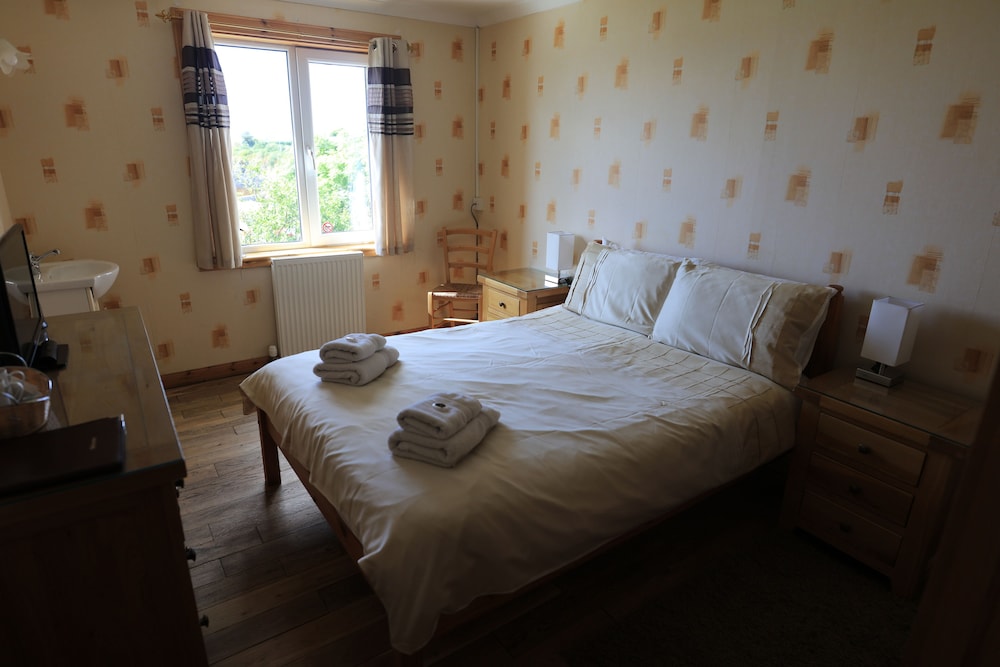 Basic Double Room, 1 King Bed photo 3