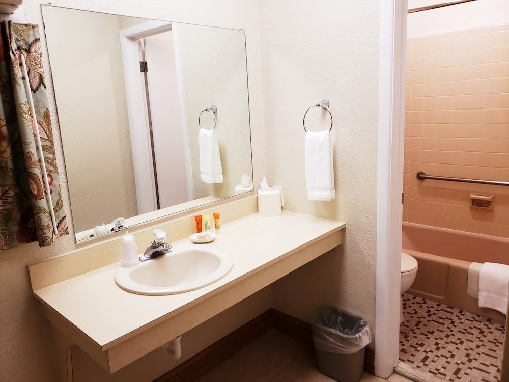 Single Room, Ground Floor photo 3