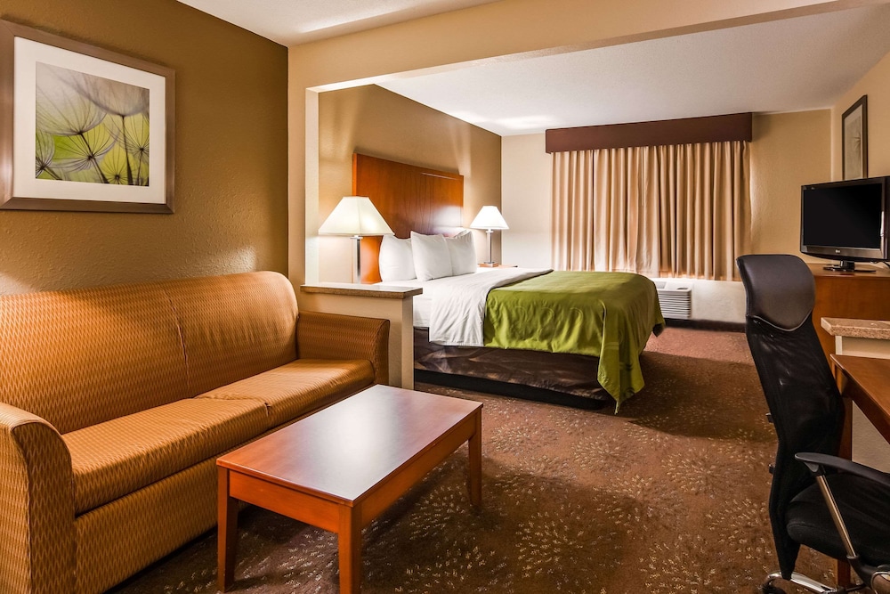 Suite, 1 King Bed with Sofa bed, Non Smoking - Photo 1