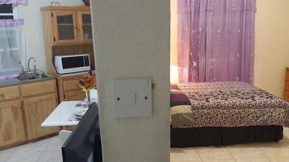 Apartment, 1 Bedroom, Kitchenette