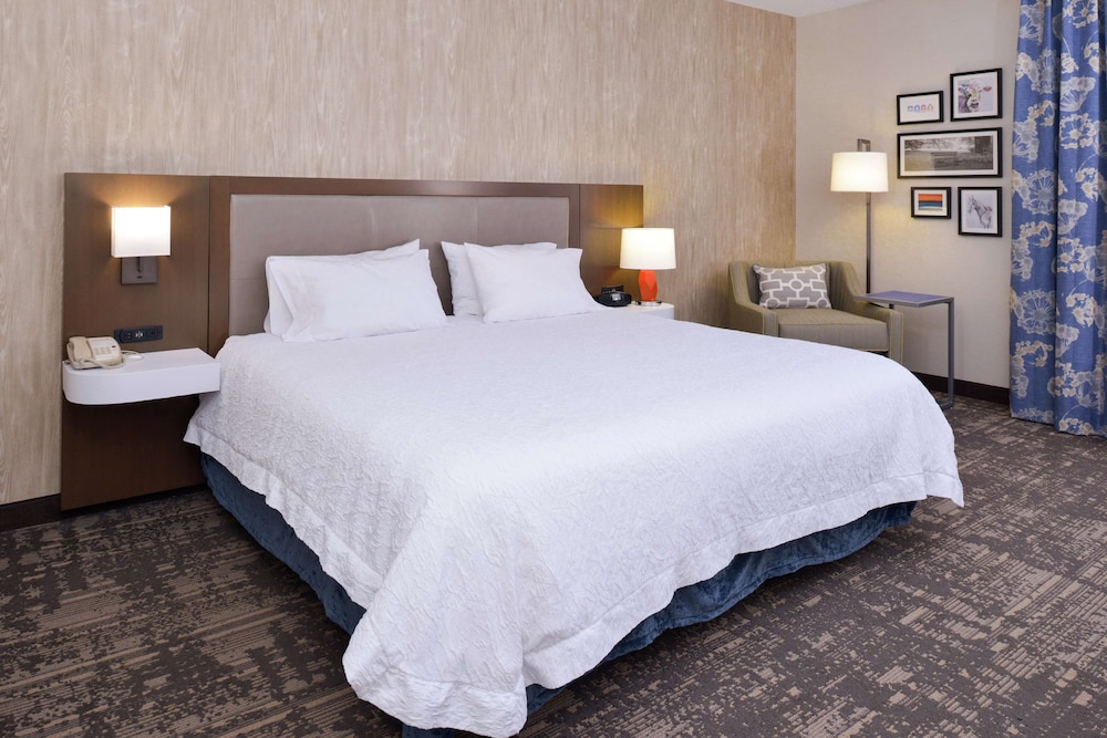 Room, 1 King Bed, Accessible, Non Smoking photo 3