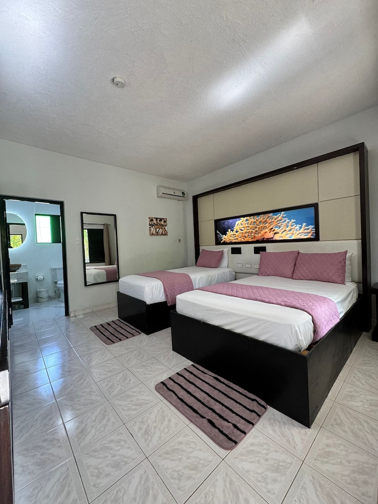 Family Double Room, Multiple Beds, Air conditioning, Garden View photo 2