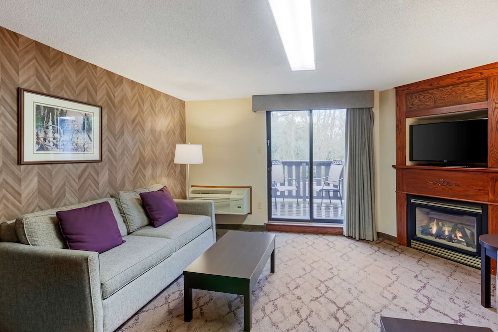 Standard Room, 1 King Bed, Non Smoking, Jetted Tub (with Sofabed) - Photo 4