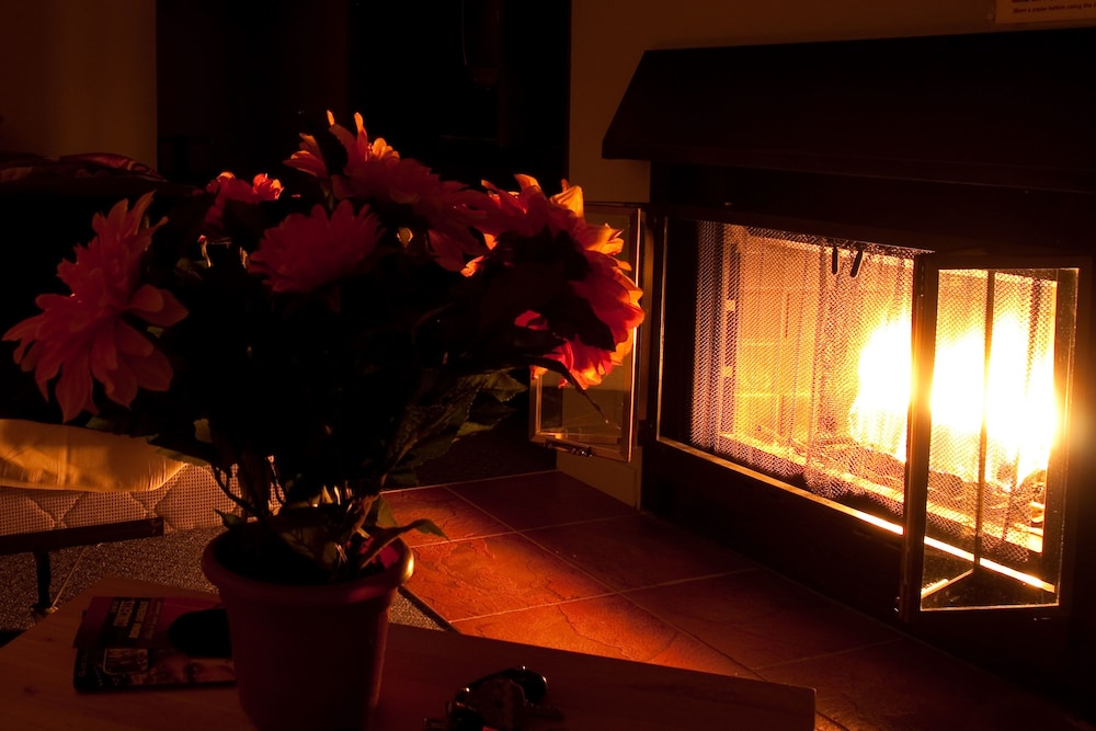 Traditional Room, Fireplace, Mountain View photo 3