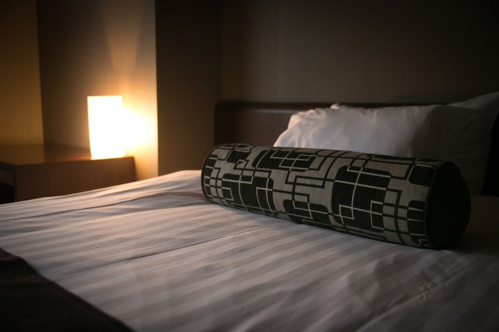 Deluxe Single Room, 1 Double Bed photo 2