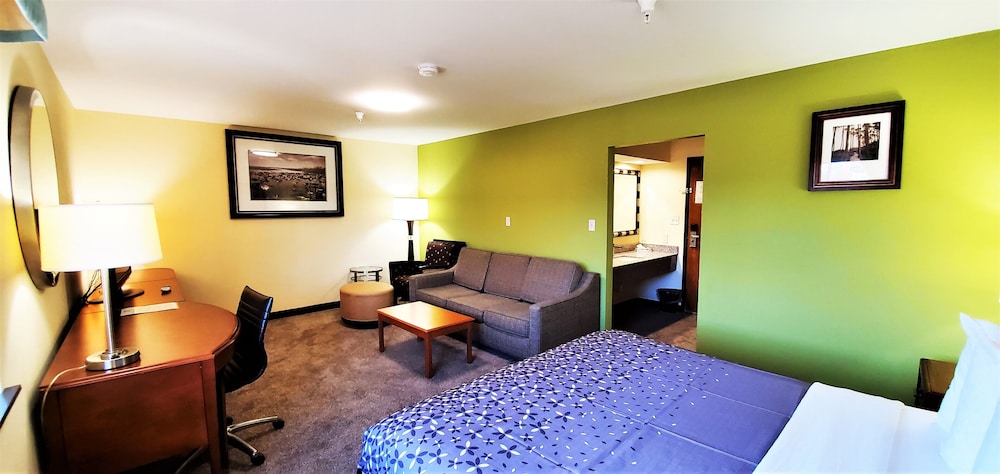 Suite, 1 King Bed with Sofa bed, Non Smoking photo 1