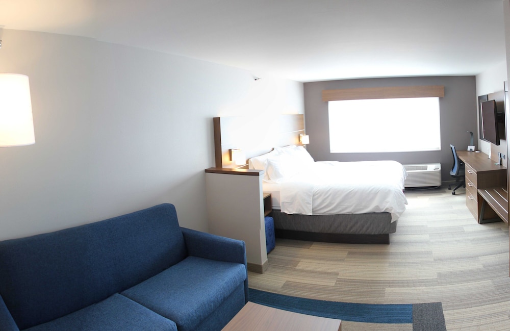 Suite, 1 King Bed, Mobility Accessible photo 3