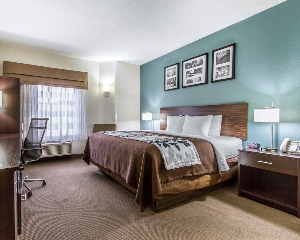 Standard Room, 1 King Bed, Non Smoking - Photo 1