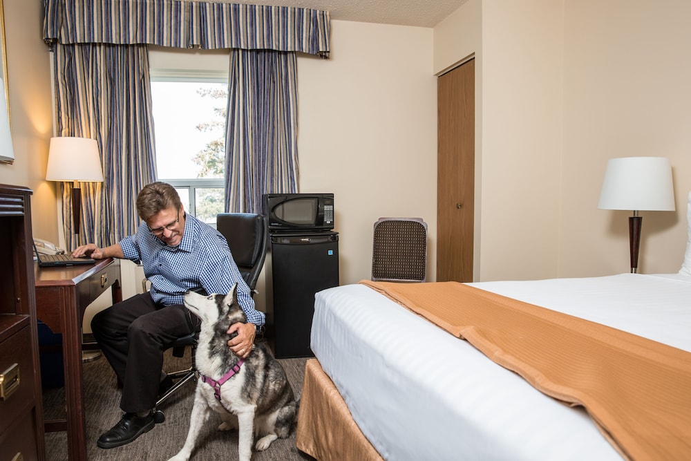 Room, 1 Queen Bed, Non Smoking (Pet Friendly) - Photo 2