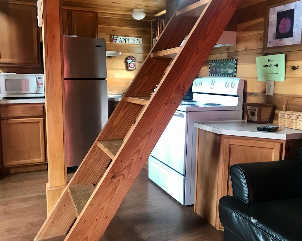 Cabin, 1 Bedroom photo 3