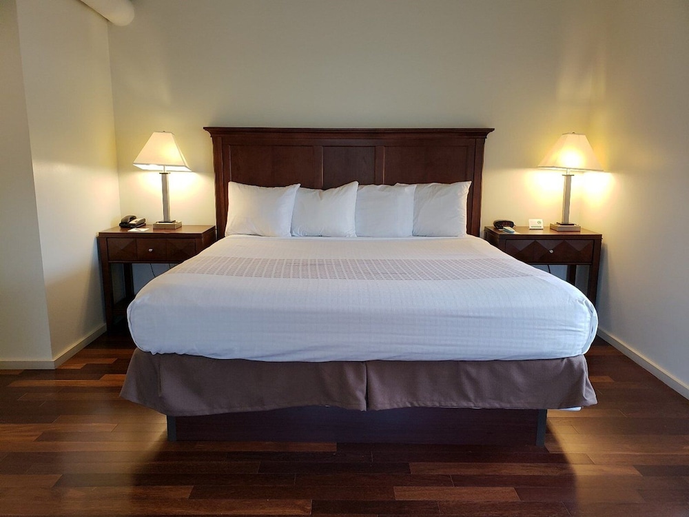 1 Bedroom suite photo 2