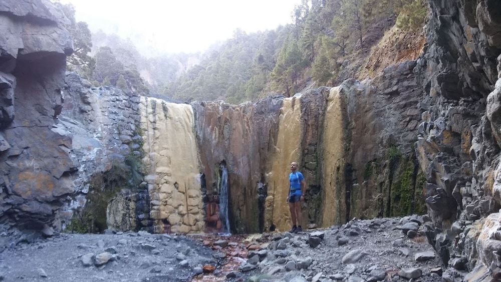 Caracol "trail Mountain La Palma" - Junto a Trébol, Billede 31