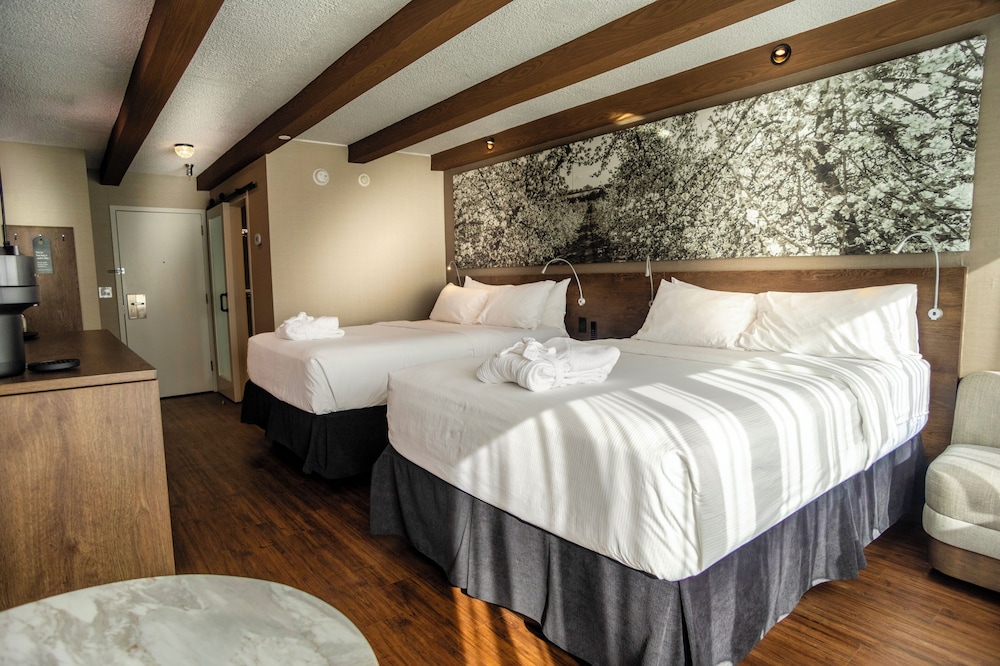 Old Orchard Inn