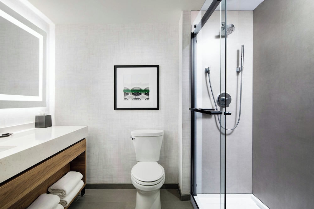 Premium Room, 1 King Bed with Sofa bed (Mobility/Hearing Access, Roll-in Shwr) - Photo 5