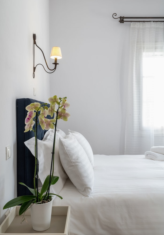 Apartment (Ambassador) photo 3