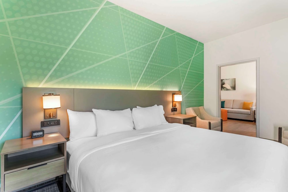 Suite (One Bed King, Handicapped, HEARING)