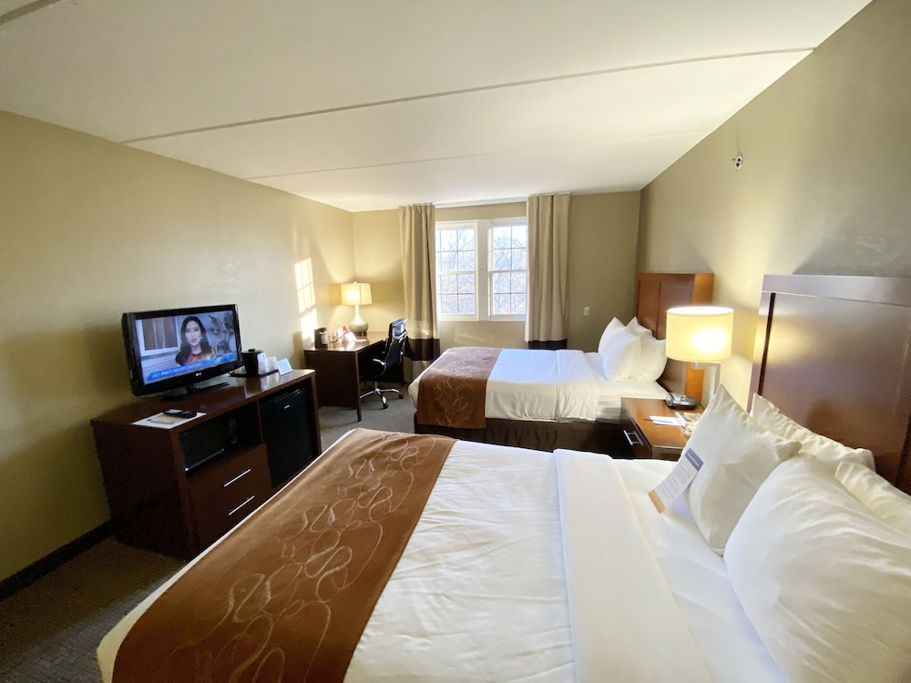 Suite, 2 Double Beds, Non Smoking photo 3
