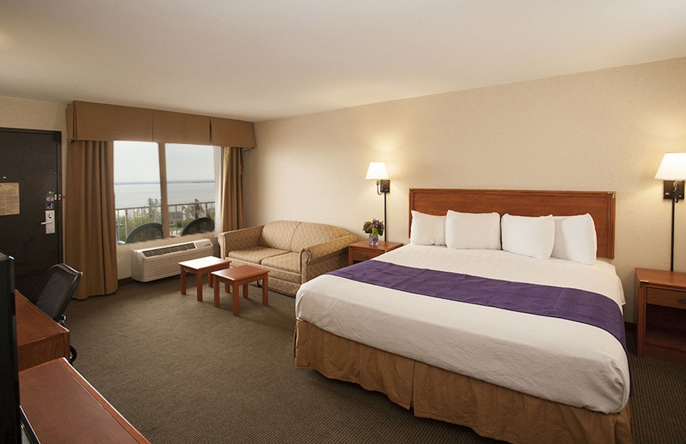 Standard King Room (Exterior Corridor) - Waterpark Passes Not Included And Subject To Availability photo 1