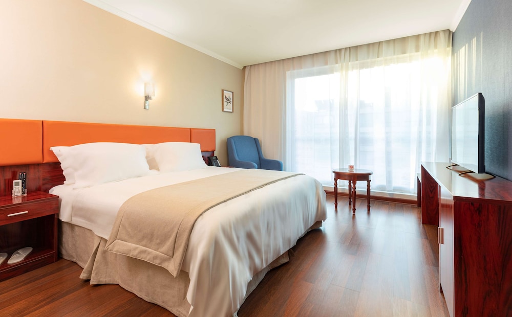 Premium Suite, 1 Queen Bed, Non Smoking, Kitchenette (Living Room) - Photo 8