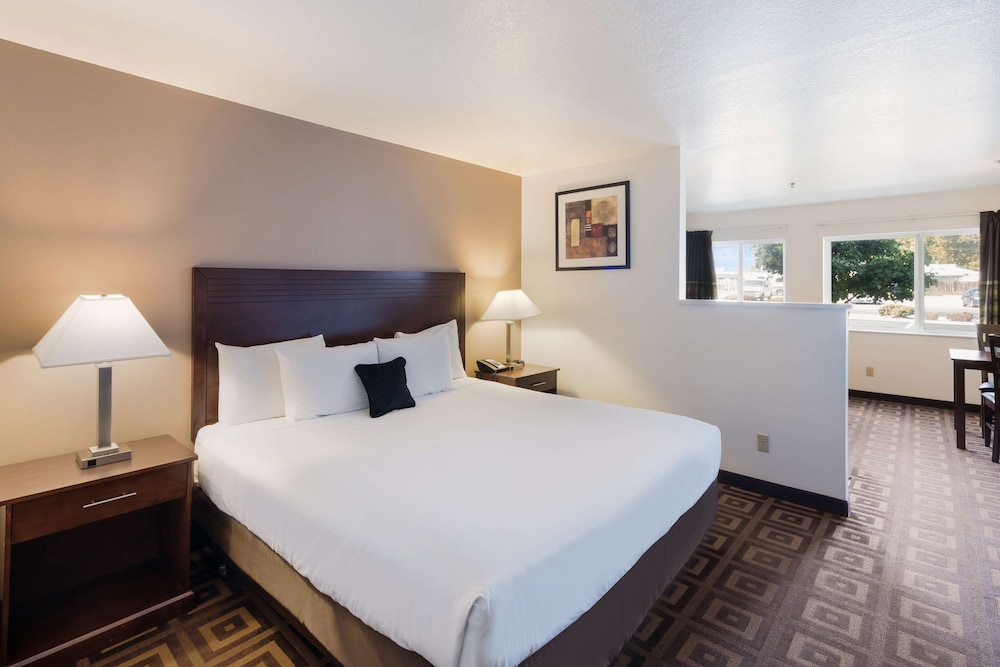 Suite, 1 King Bed, Kitchen - Photo 1