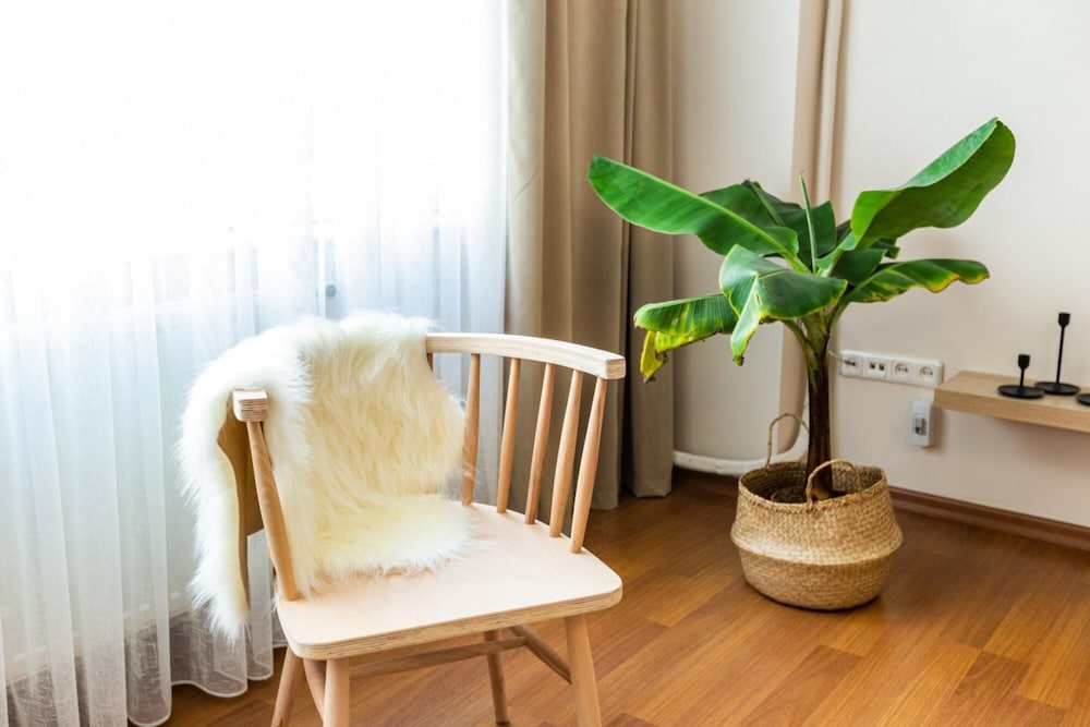 Apartment photo 1
