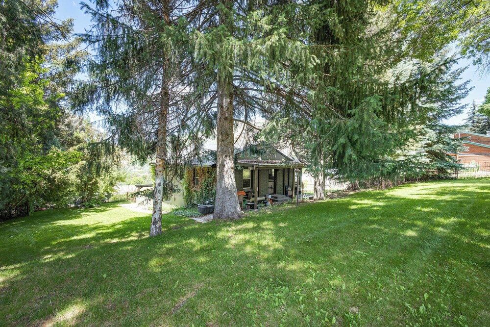 House (3 Bedrooms) photo 2