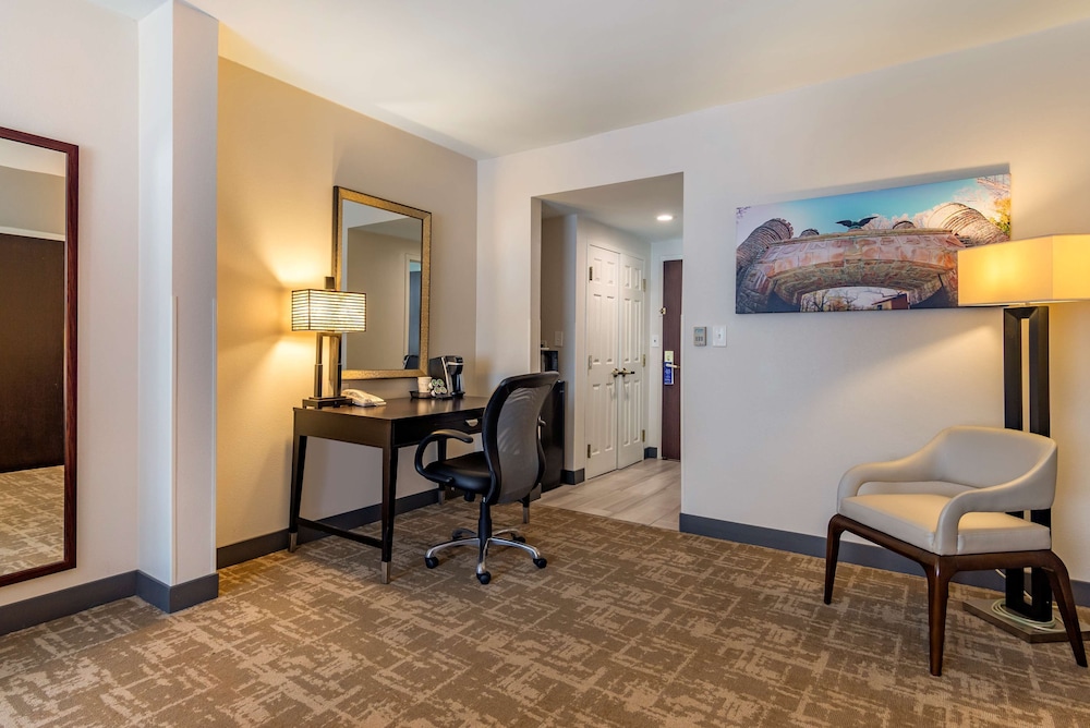 Standard Room, 1 King Bed, Accessible, Refrigerator & Microwave photo 3