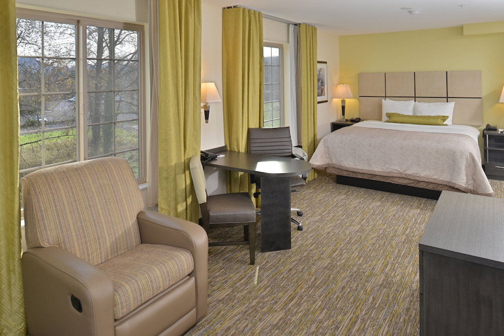 Studio Suite, 1 King Bed, Accessible (Communications, Access Tub) photo 3