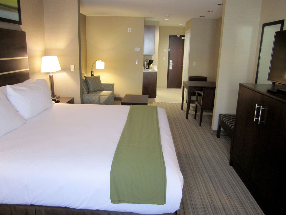 Suite, 1 King Bed with Sofa bed photo 1