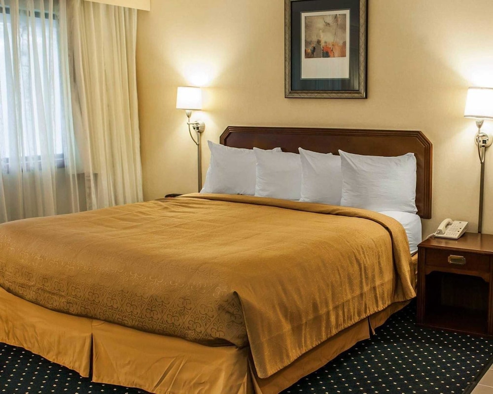 Standard Room, 1 King Bed with Sofa bed, Non Smoking - Photo 11