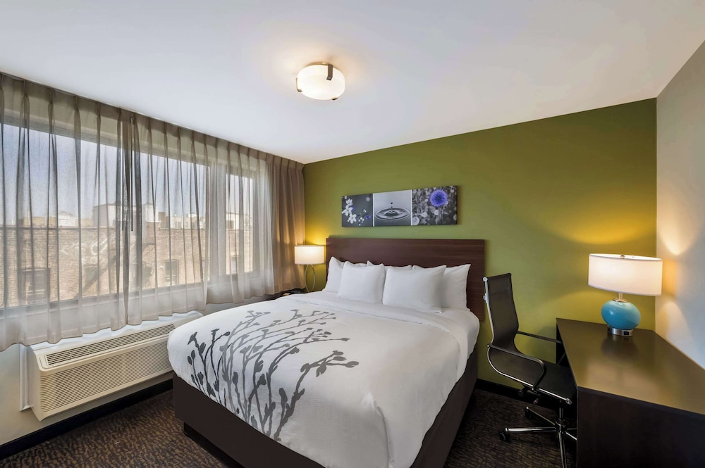 Standard Room, 1 King Bed, Non Smoking photo 1