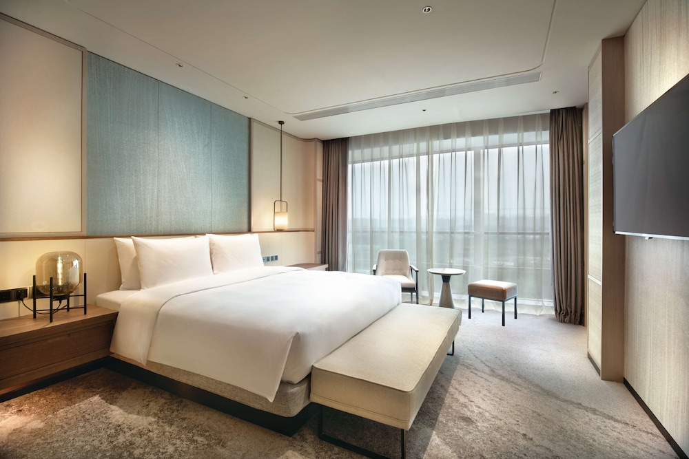 Suite, 1 King Bed with Sofa bed