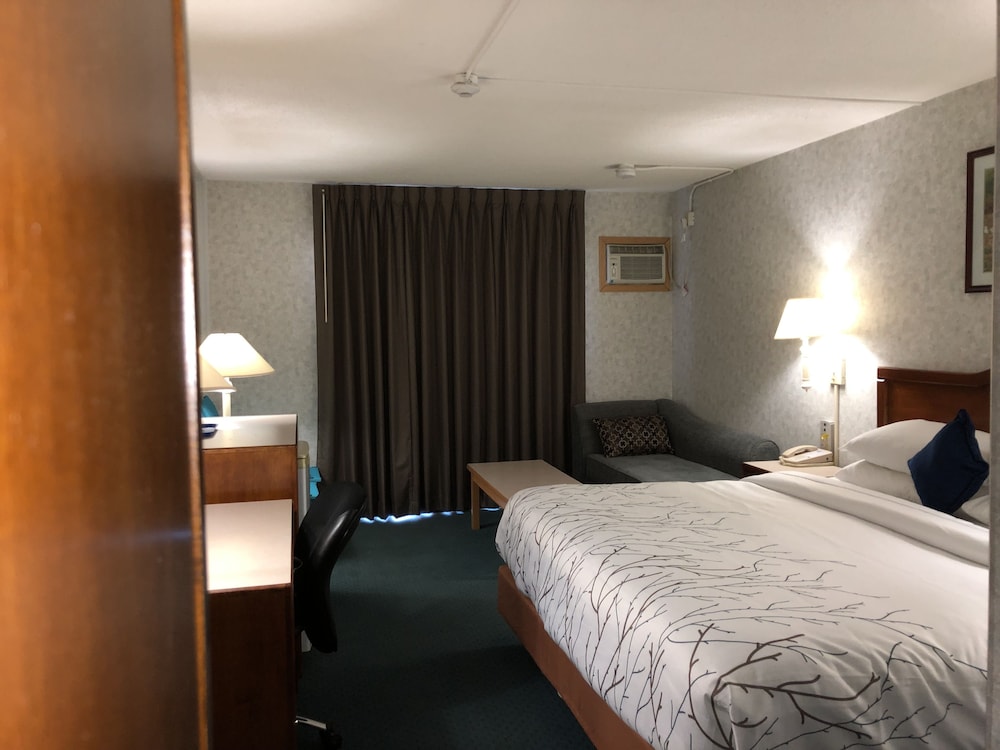Deluxe Room, 1 King Bed, Non Smoking - Photo 3