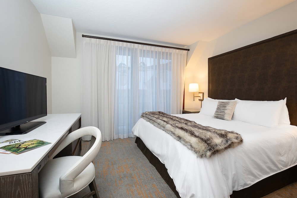 Suite, 1 King Bed with Sofa bed