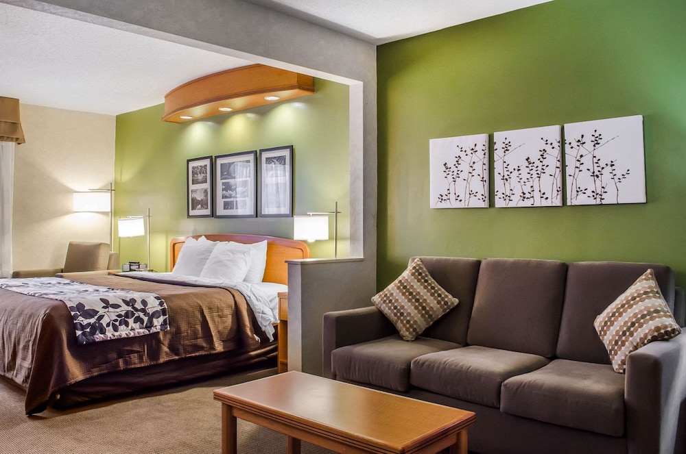 Suite, 1 King Bed with Sofa bed, Accessible, Non Smoking - Photo 2