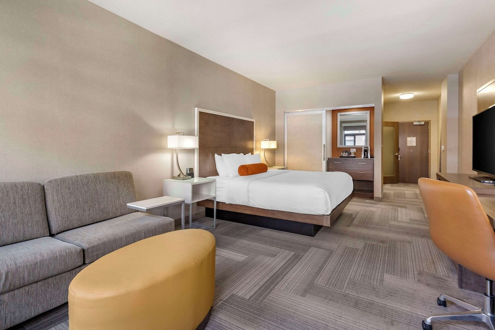 Room, 1 King Bed with Sofa bed, Accessible, Non Smoking (Upgrade, Roll-In Shower) photo 3