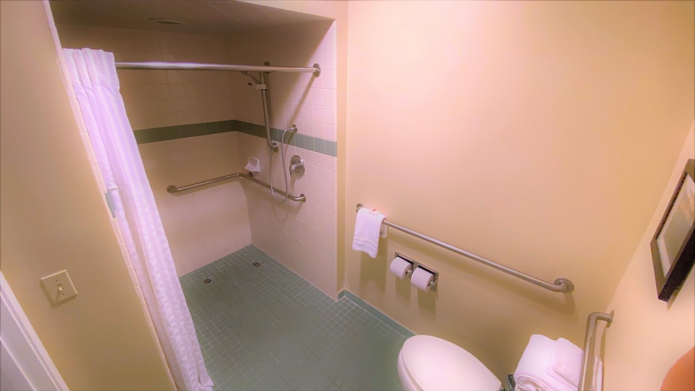 Room, 1 Queen Bed, Accessible, Non Smoking (Roll-In Shower) - Photo 3